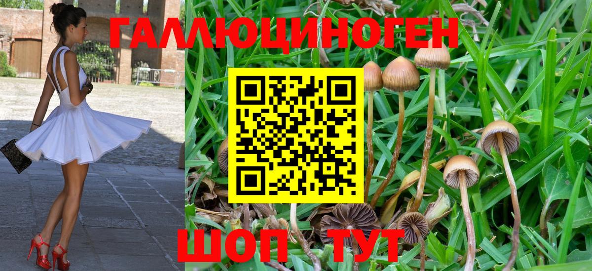 Псилоцибиновые грибы GOLDEN TEACHER Ирбит