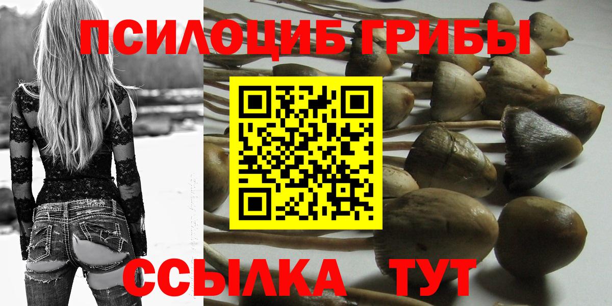 Галлюциногенные грибы Psilocybe  Псилоцибиновые грибы Psilocybe  Вход с VPN  Ирбит 